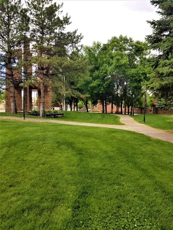 Town House Motor Inn image 6